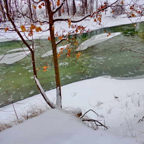 Humber River walks