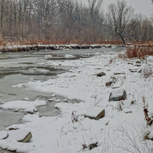 Humber River walks