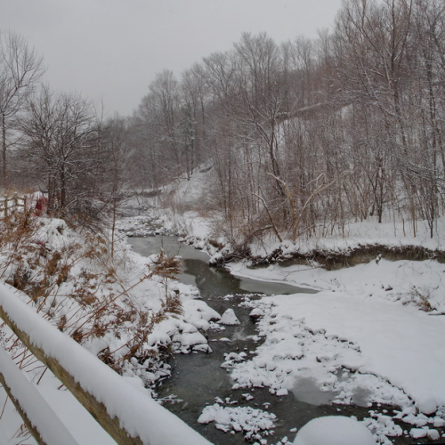 winter walks