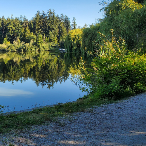 Lost Lagoon