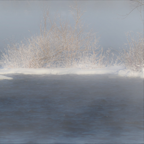 Winter Wonderland