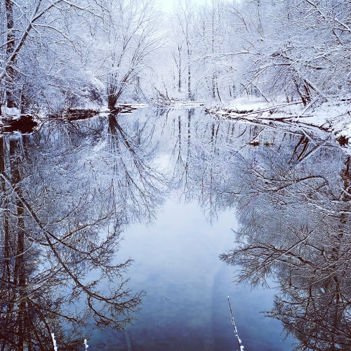 Majestic Winter Reflection