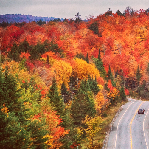 High on Algonquin Park 