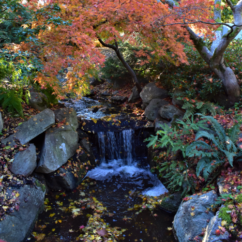 Orange Falls