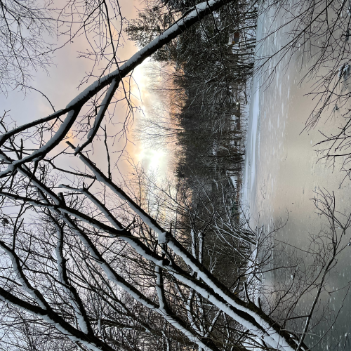 Frozen Pond