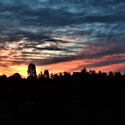 Painted Sky