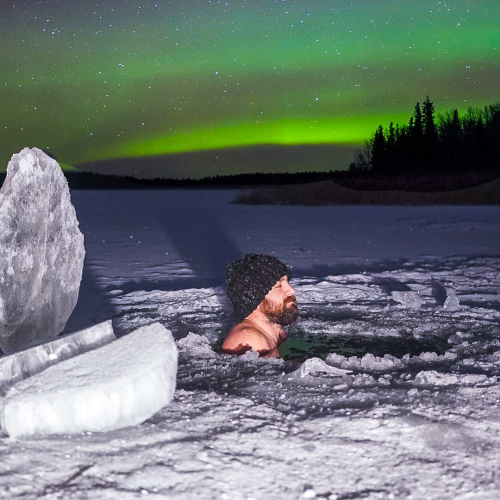 Embracing the North