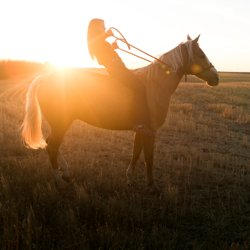 Horsing Around