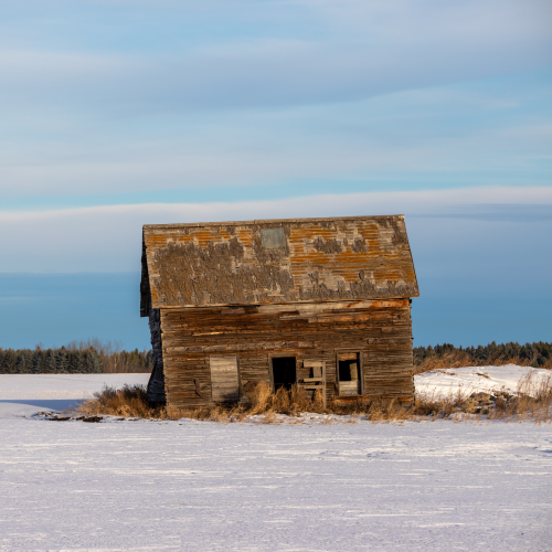 The Old Barn
