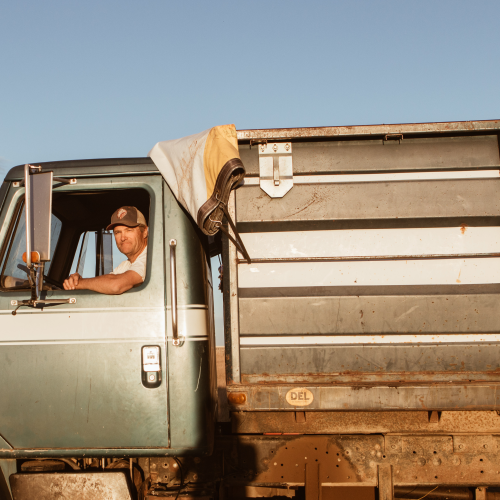 Harvest Portrait