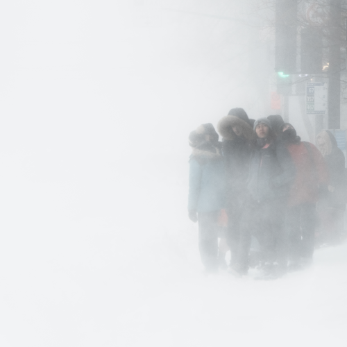 Cold As Ice