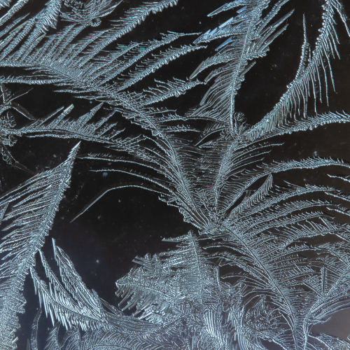 Winter Etchings
