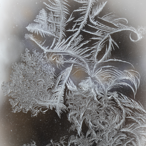 Winter's Artwork