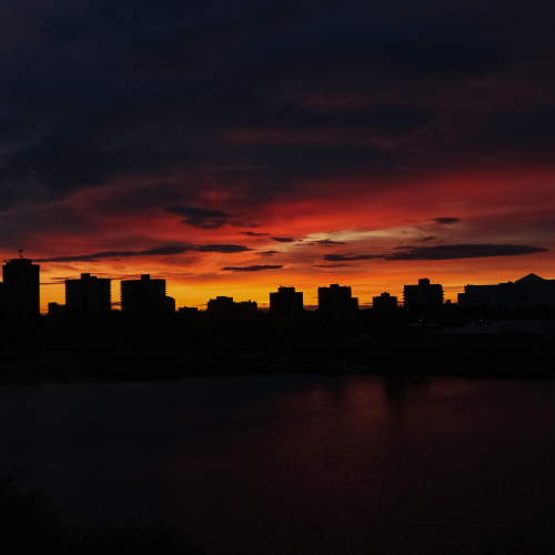 Sunset Silhouette