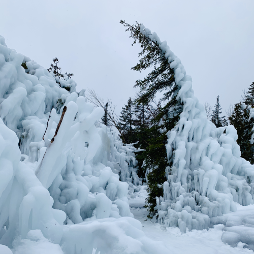 Love in the shackles of ice