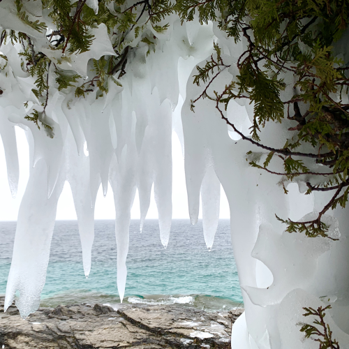 Love in the shackles of ice