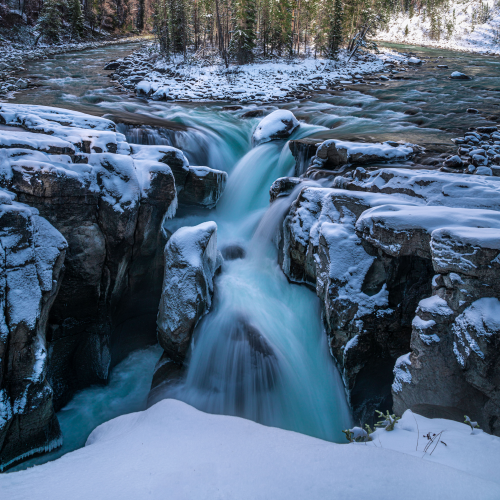 Falling into Winter