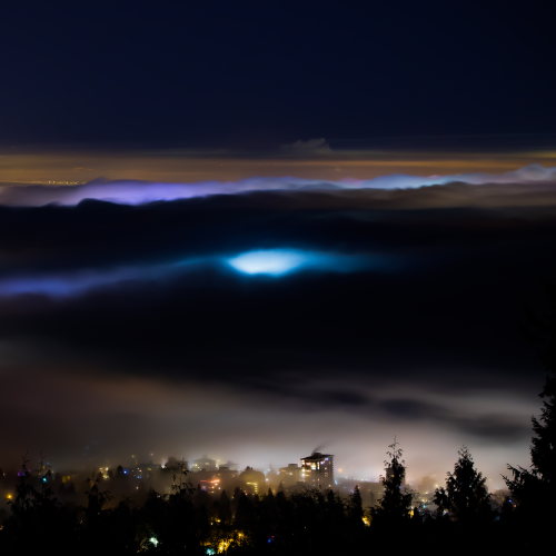 Rolling Fog