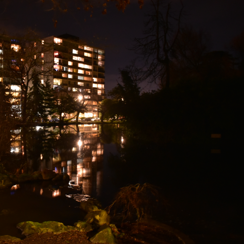 Night Pond