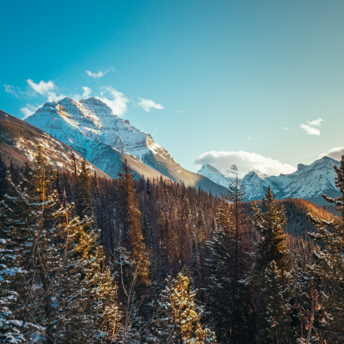 Athabasca Pass Afternoon