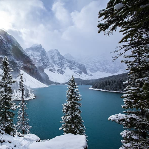Winter Dream