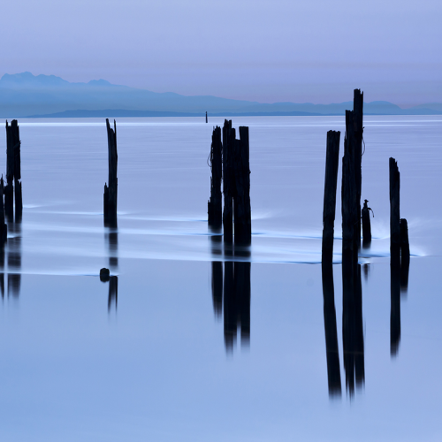 Remnants of Brunswick Cannery No. 5, Canoe Pass in an ebbing twilight tide.