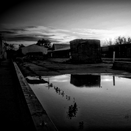 Abandoned But Not Forgotten
