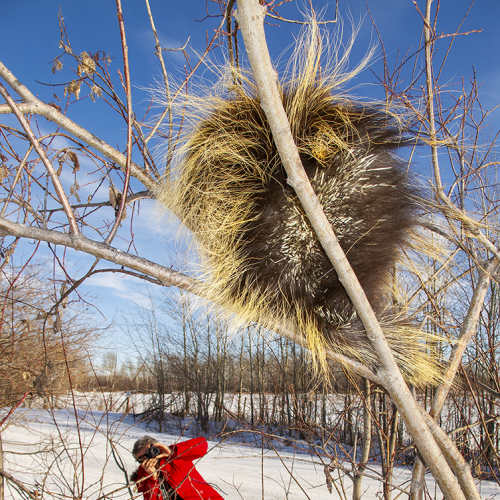Absorbing the gift of a beautiful Saskatchewan winter's day.