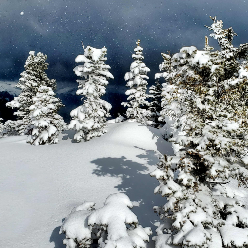 Summit Blizzard