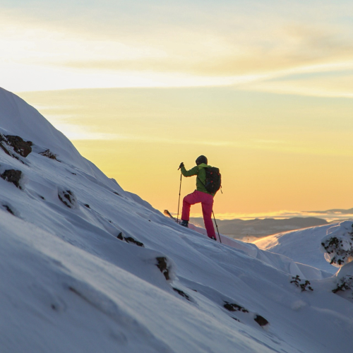 Skyline Skier