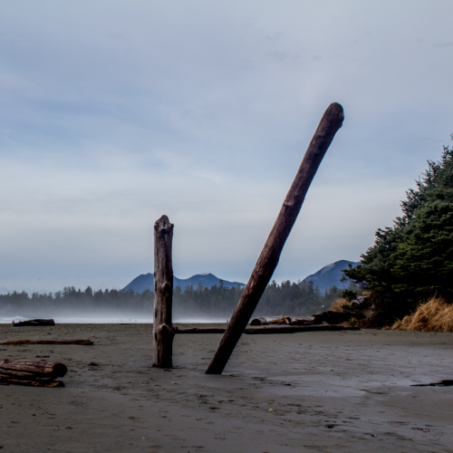 Walking in a Winter Wonder-beach