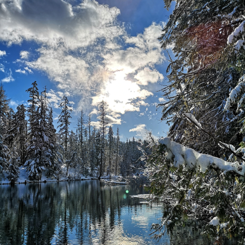 Fresh snow and sun