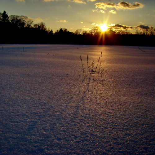 time of long shadows