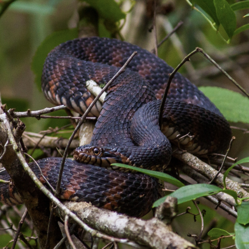 florida state parks photo contest gallery