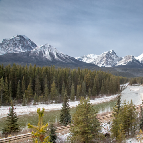 Morant's Curve