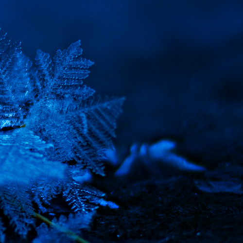 Blue ice-crystal