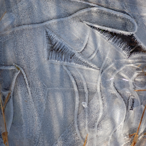 Ice Art No. 1