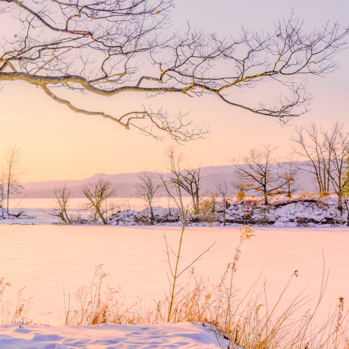 Pastels of winter