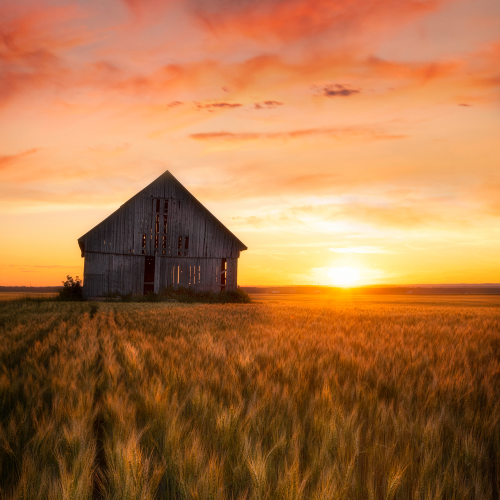 The Barn