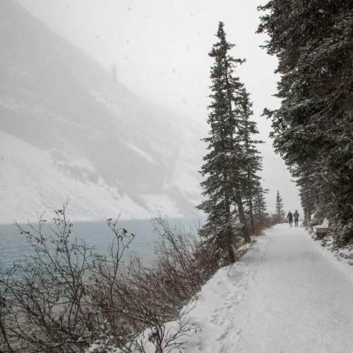 Lake Louise