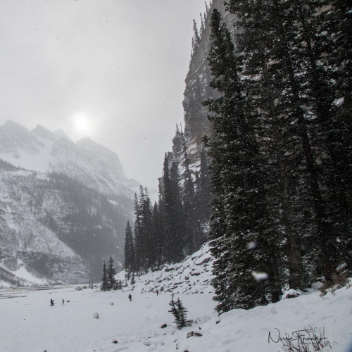 Lake Louise