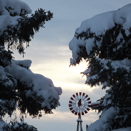 Windmill 