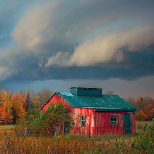 Fall Storm