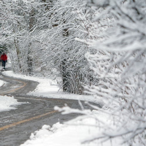 Winding through Winter