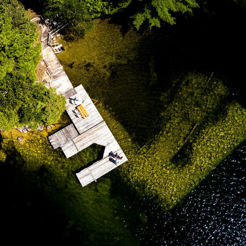 Fishing at the Cottage