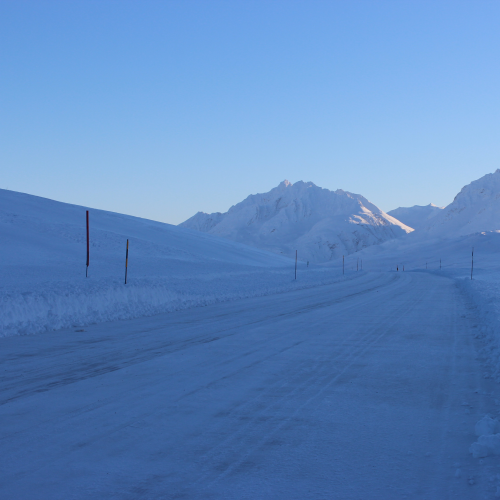 Winter in Isolation