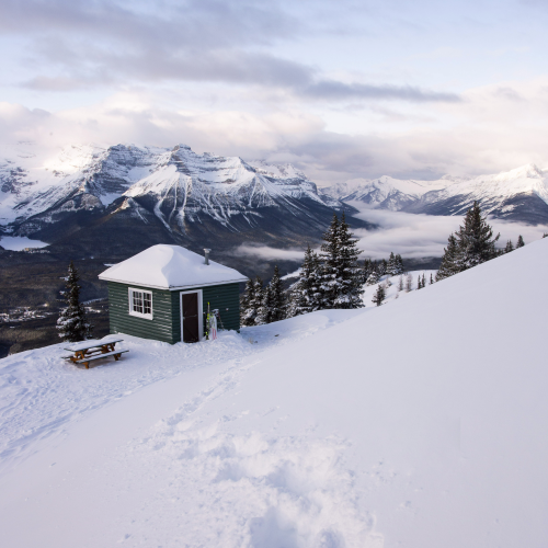 A skier's dream