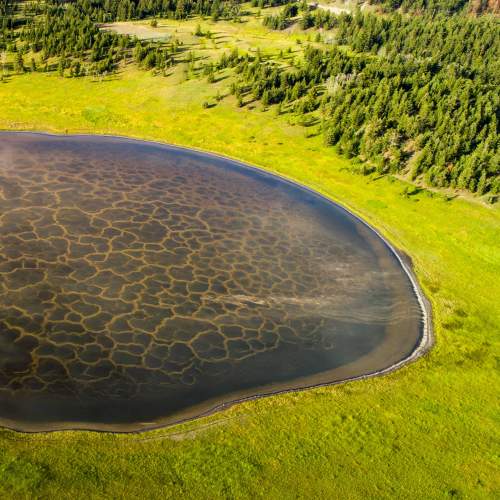 A simple complex pond