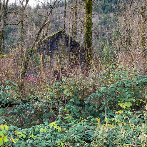 Abandoned house