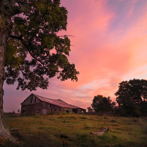 All Quiet in the Shire